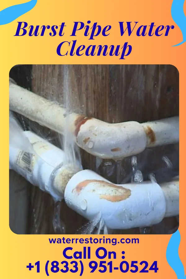 Burst Pipe Water Cleanup in Sharpsburg, PA