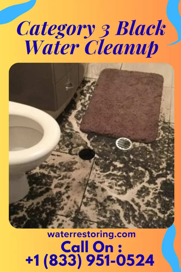 Category 3 Black Water Cleanup in Sharpsburg, PA