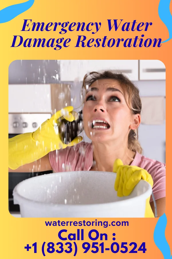 Emergency Water Damage Restoration in Sharpsburg, PA