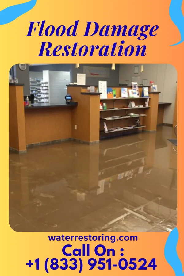 Flood Damage Restoration in Sharpsburg, PA