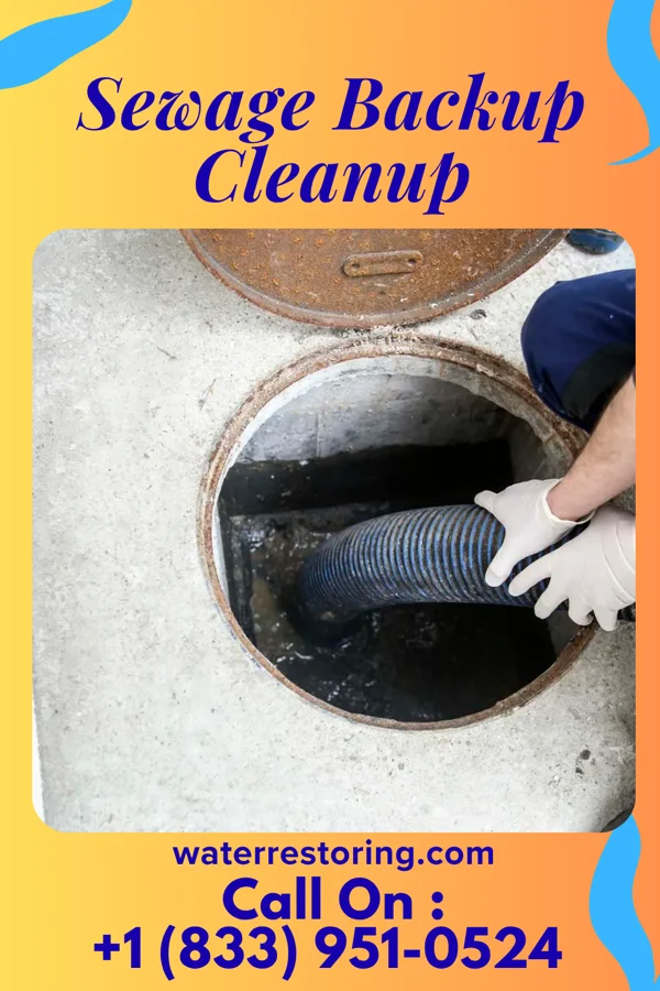 Sewage Backup Cleanup in Sharpsburg, PA