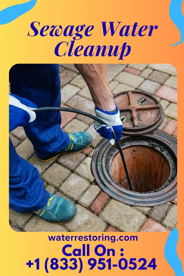 Sewage Water Cleanup in Sharpsburg, PA